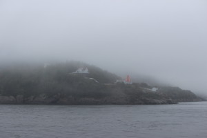 Seriamente, manca una scritta bianca con un titolo e il nome di Stephen king sotto. 