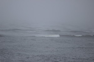 I want to stress it again: this is a river