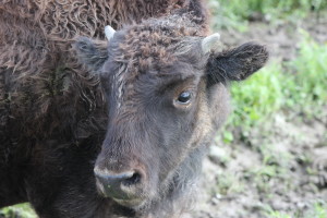 mi spiace per tuo fratello, so che era una persona deliziosa