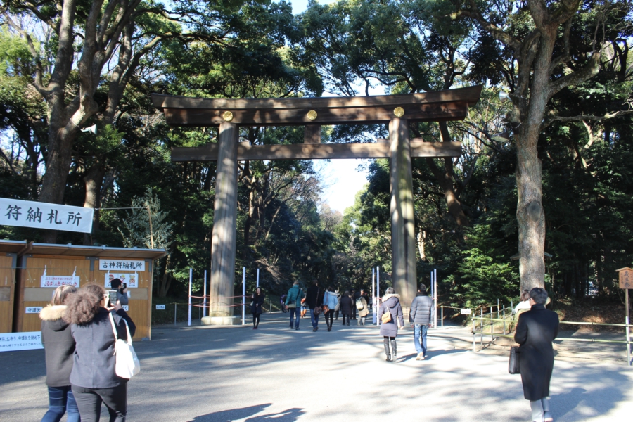 Such Torii. Very big. Much sacred.