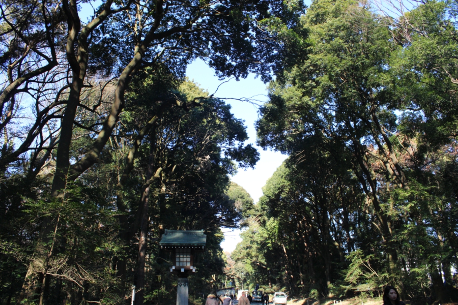 qui siamo in centro a Tokyo, eh, non in periferia.