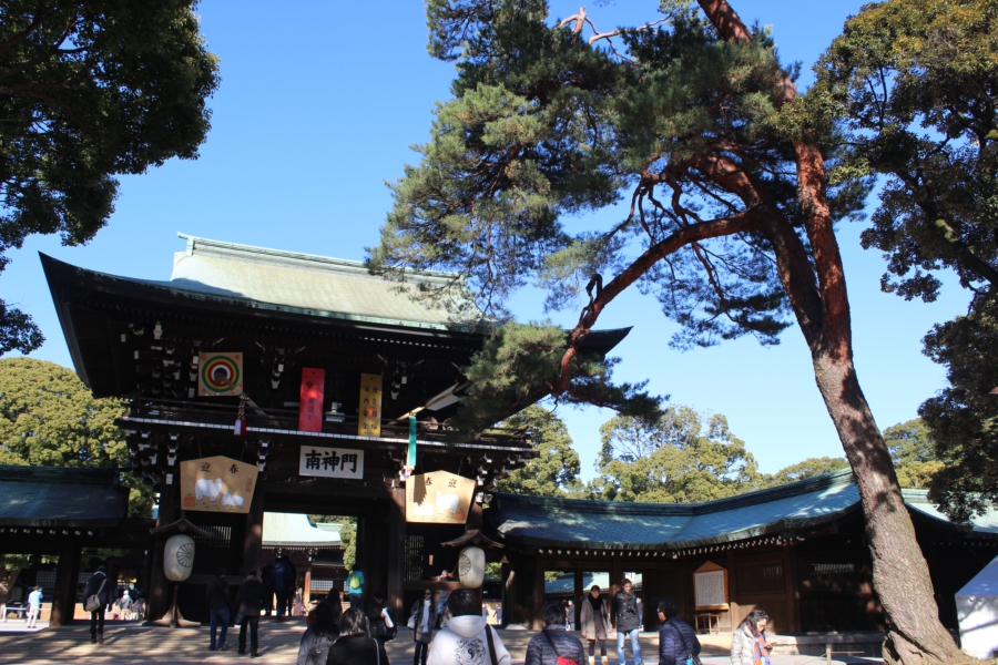 Parte centrale del tempio. Gli alberi, in tenera età, vengono fasciati perché non facciano rami troppo bassi, e si ottiene questo effetto "tetto".